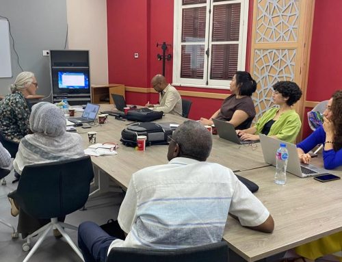 Team analysis workshop in Cairo from 2-7 July 2025