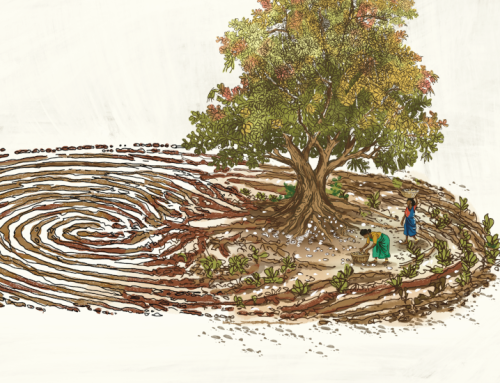 Digital Food Assistance in India: Marginalising the marginalized